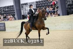 22BUCK_03282 proof