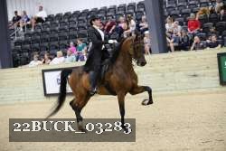 22BUCK_03283 proof
