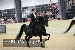 22BUCK_03284 proof