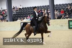 22BUCK_03285 proof