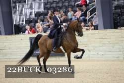 22BUCK_03286 proof