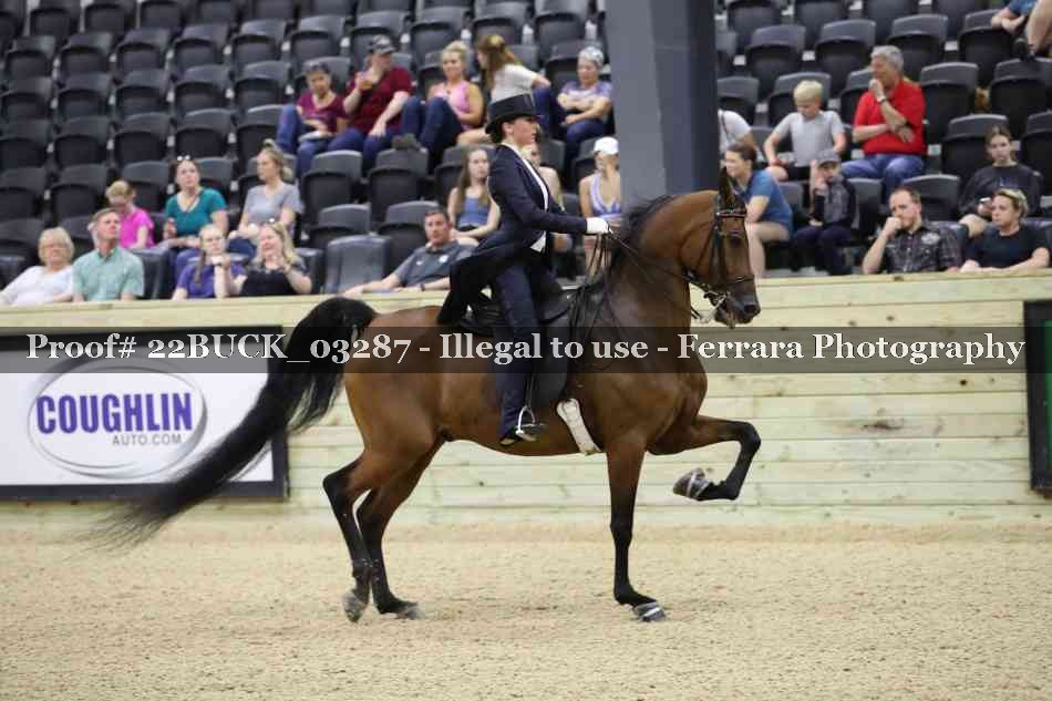 Proof 22BUCK_03287