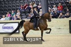 22BUCK_03287 proof