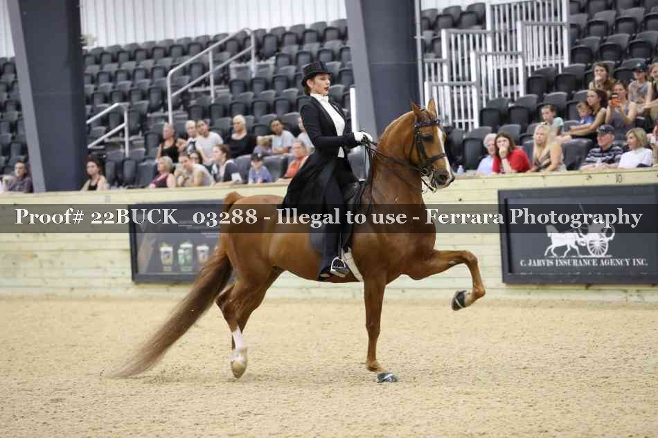 Proof 22BUCK_03288