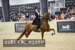 22BUCK_03288 proof