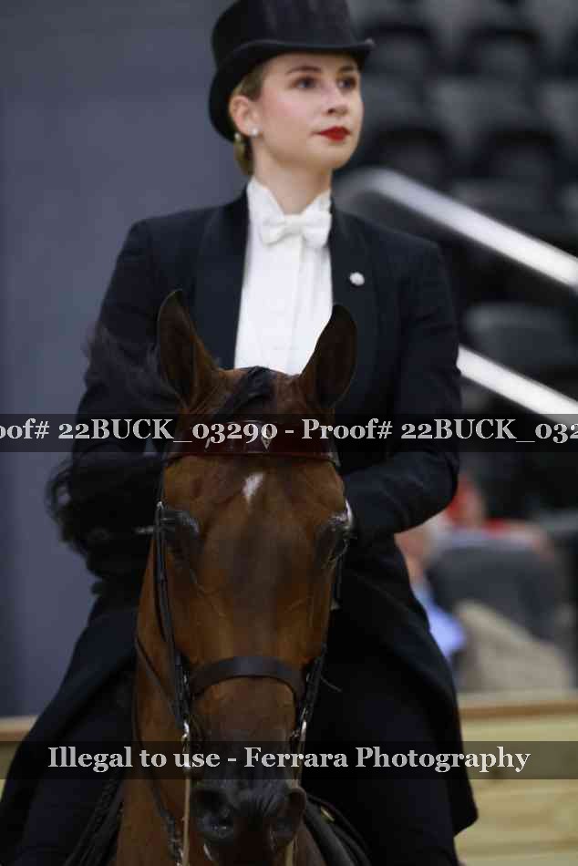 Proof 22BUCK_03290