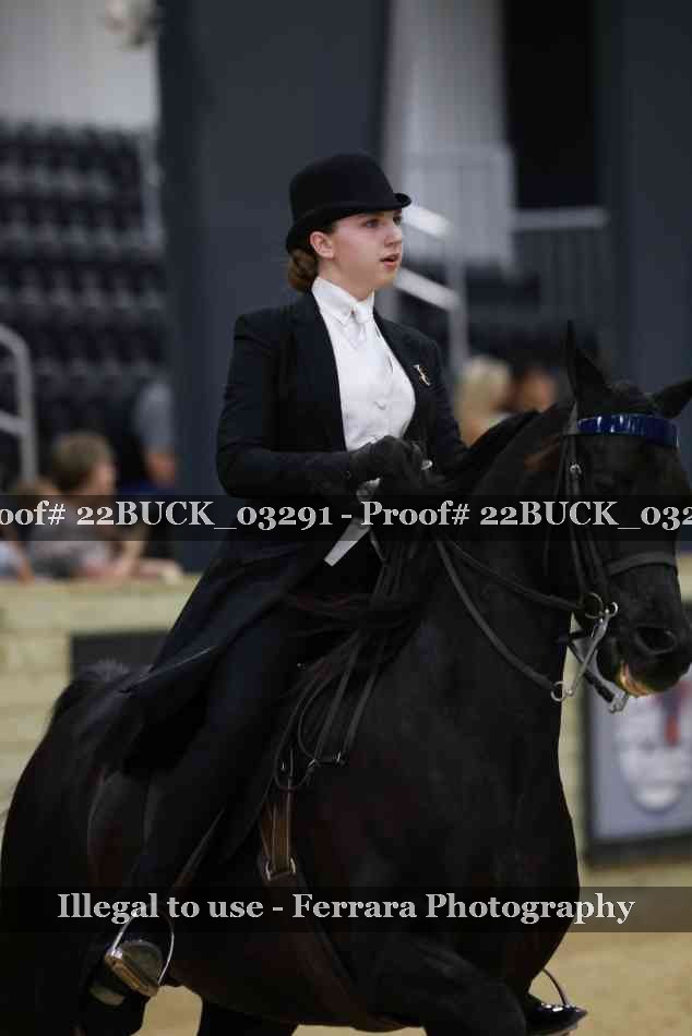 Proof 22BUCK_03291