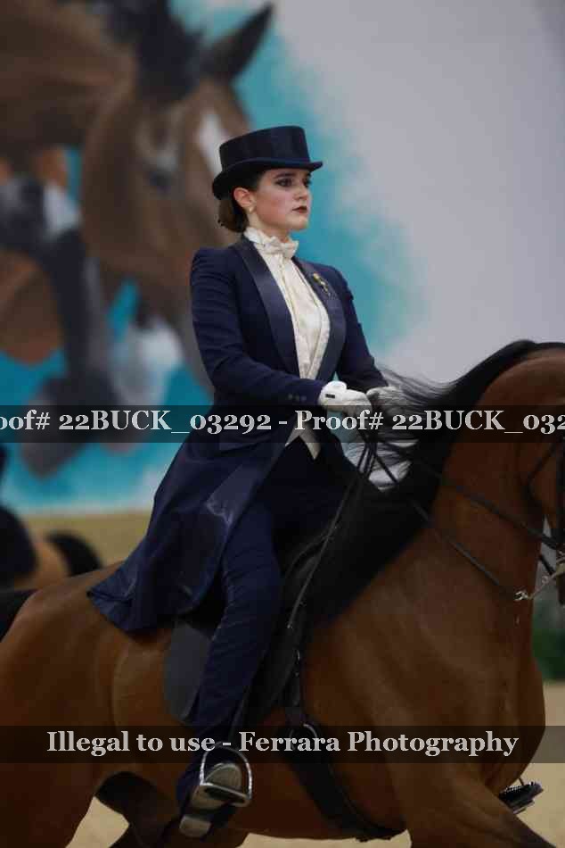 Proof 22BUCK_03292