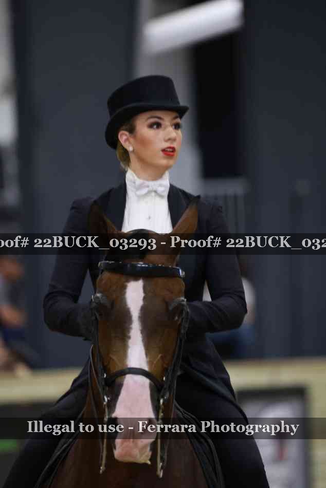 Proof 22BUCK_03293