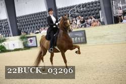 22BUCK_03296 proof