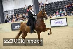 22BUCK_03297 proof