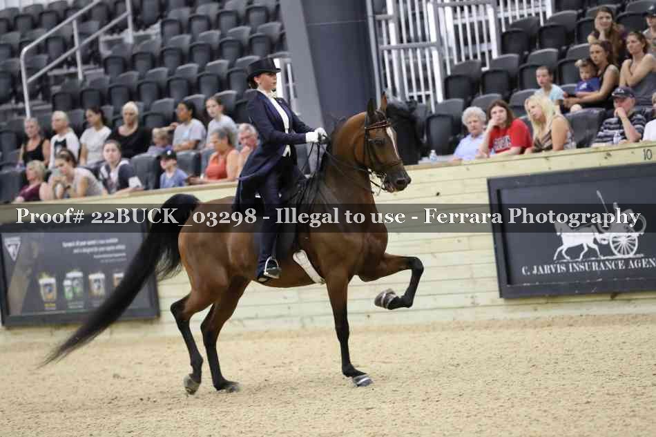 Proof 22BUCK_03298