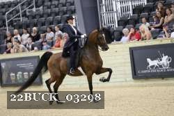 22BUCK_03298 proof