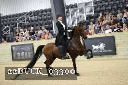 22BUCK_03300 proof