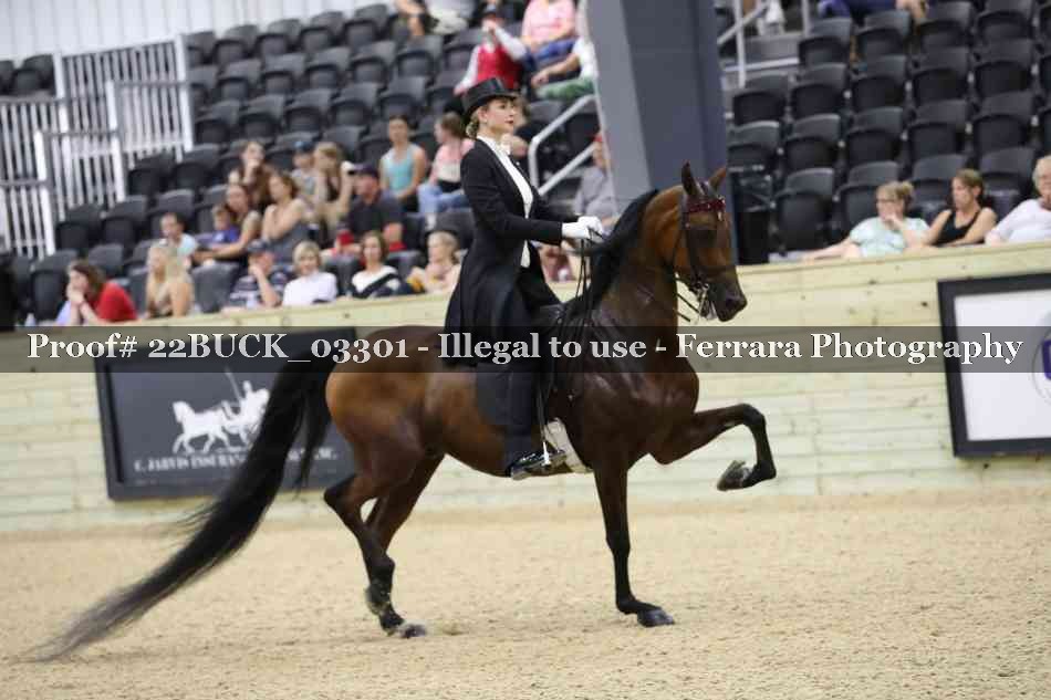 Proof 22BUCK_03301