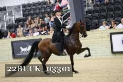 22BUCK_03301 proof