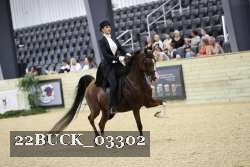 22BUCK_03302 proof