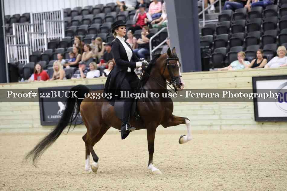 Proof 22BUCK_03303