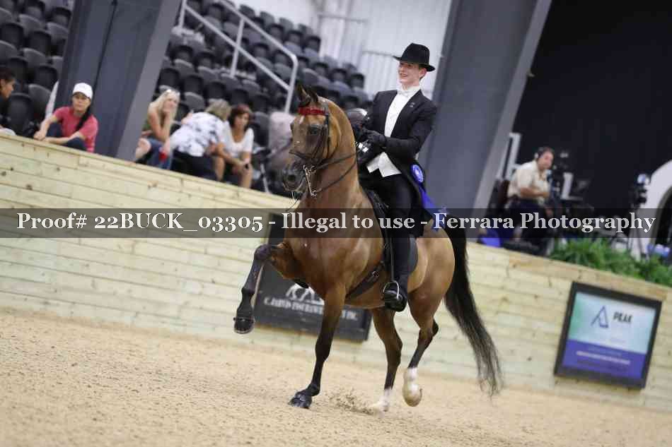 Proof 22BUCK_03305