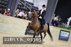 22BUCK_03305 proof