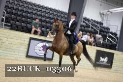 22BUCK_03306 proof
