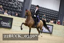 22BUCK_03307 proof