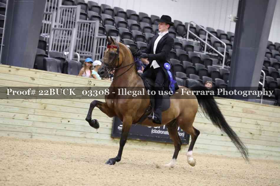 Proof 22BUCK_03308