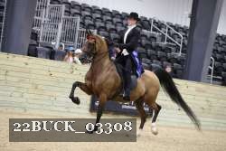 22BUCK_03308 proof
