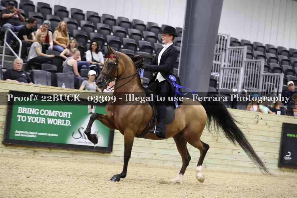 Proof 22BUCK_03309