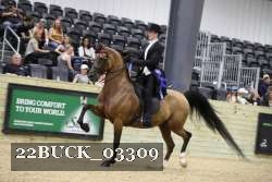 22BUCK_03309 proof