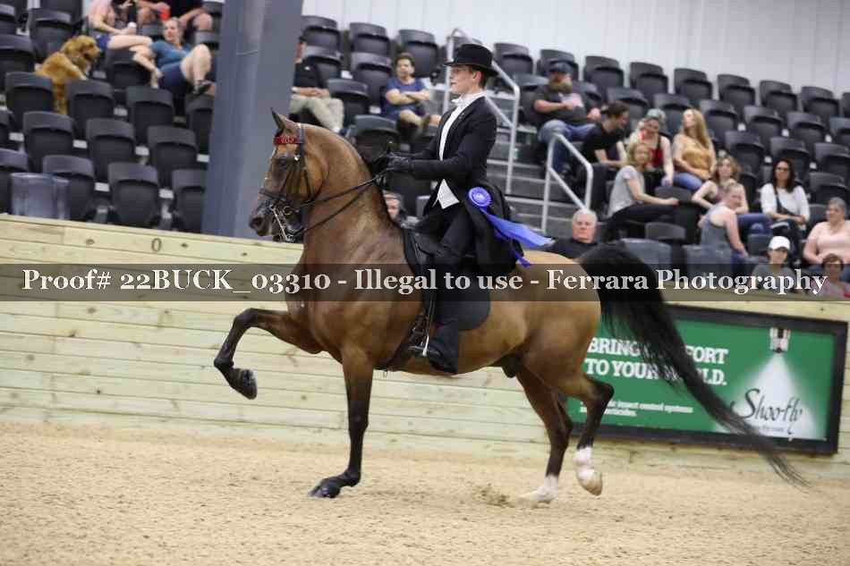 Proof 22BUCK_03310
