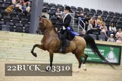 22BUCK_03310 proof