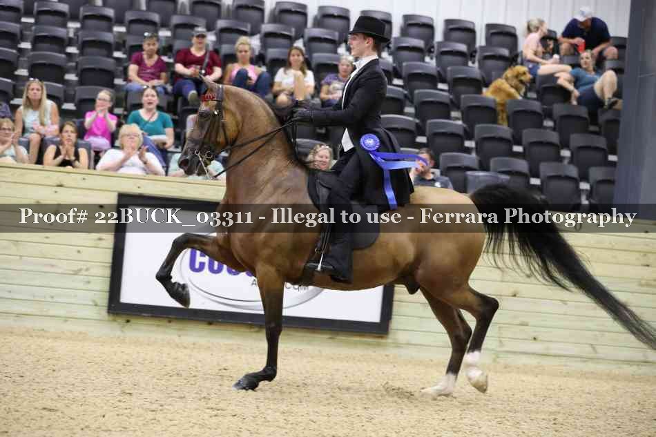 Proof 22BUCK_03311