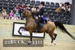 22BUCK_03311 proof