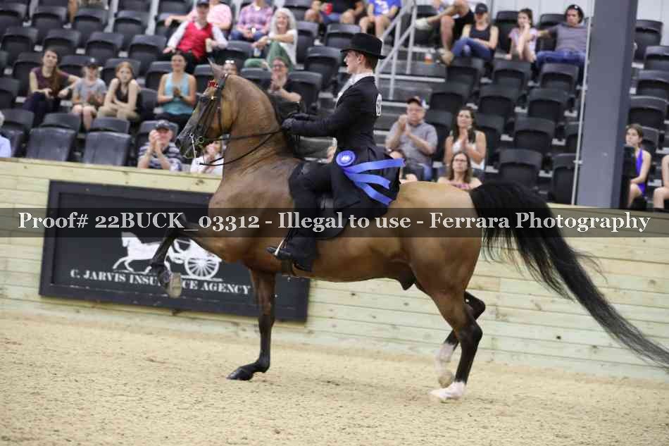 Proof 22BUCK_03312