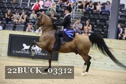 22BUCK_03312 proof