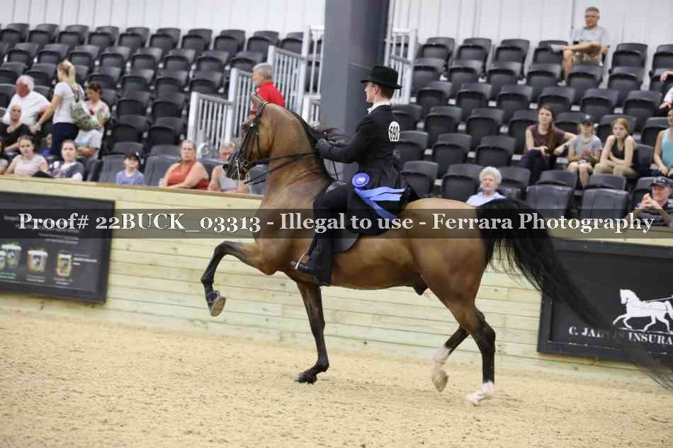 Proof 22BUCK_03313