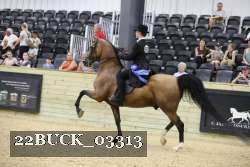 22BUCK_03313 proof