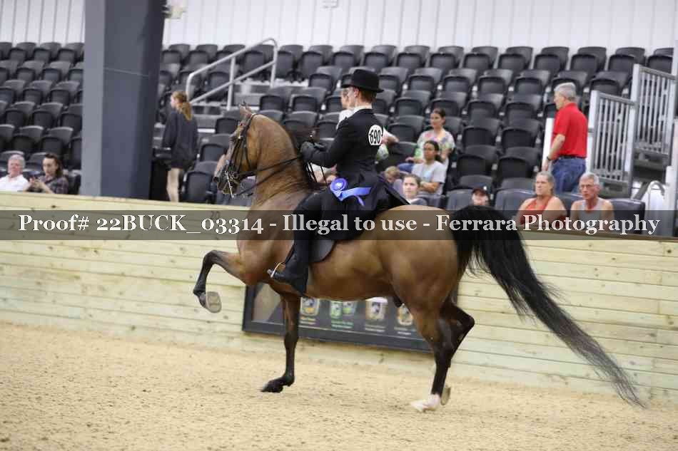 Proof 22BUCK_03314