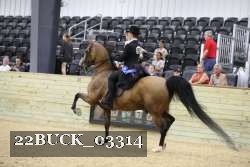 22BUCK_03314 proof