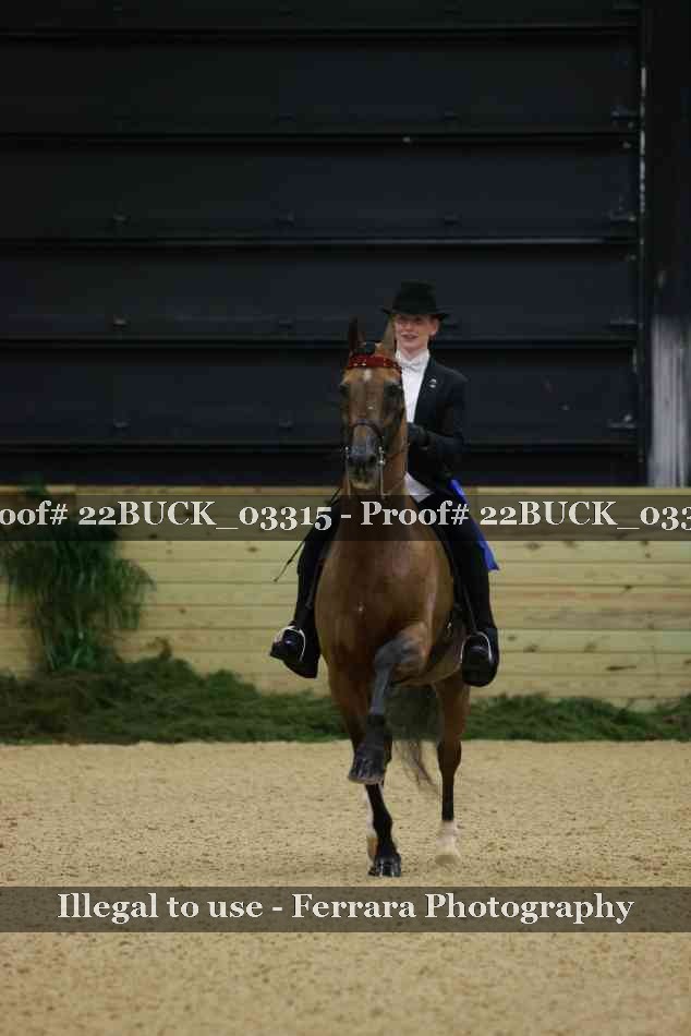 Proof 22BUCK_03315
