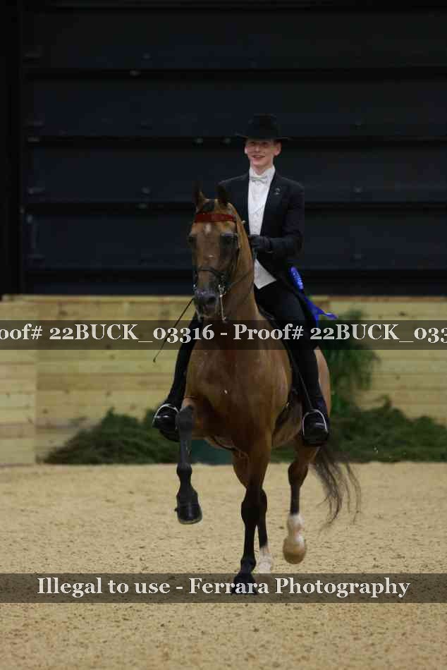 Proof 22BUCK_03316