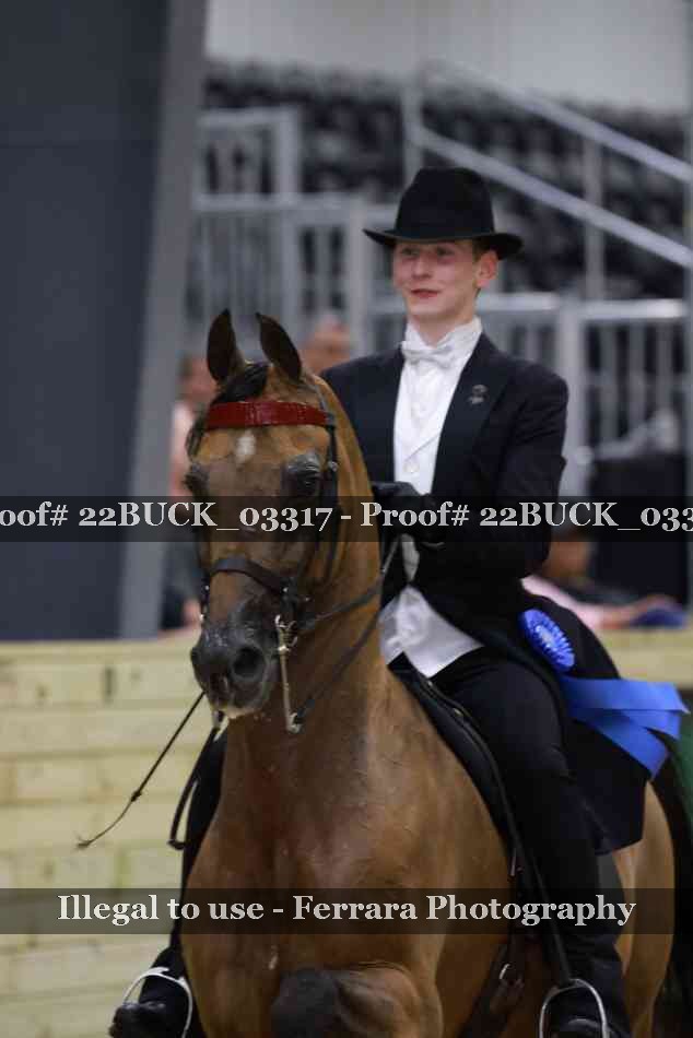 Proof 22BUCK_03317