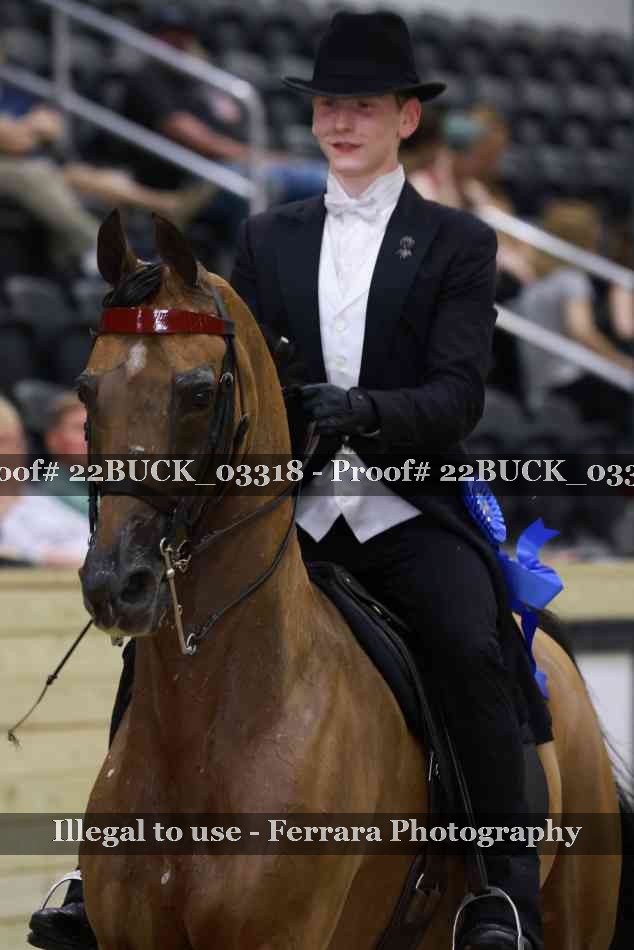 Proof 22BUCK_03318