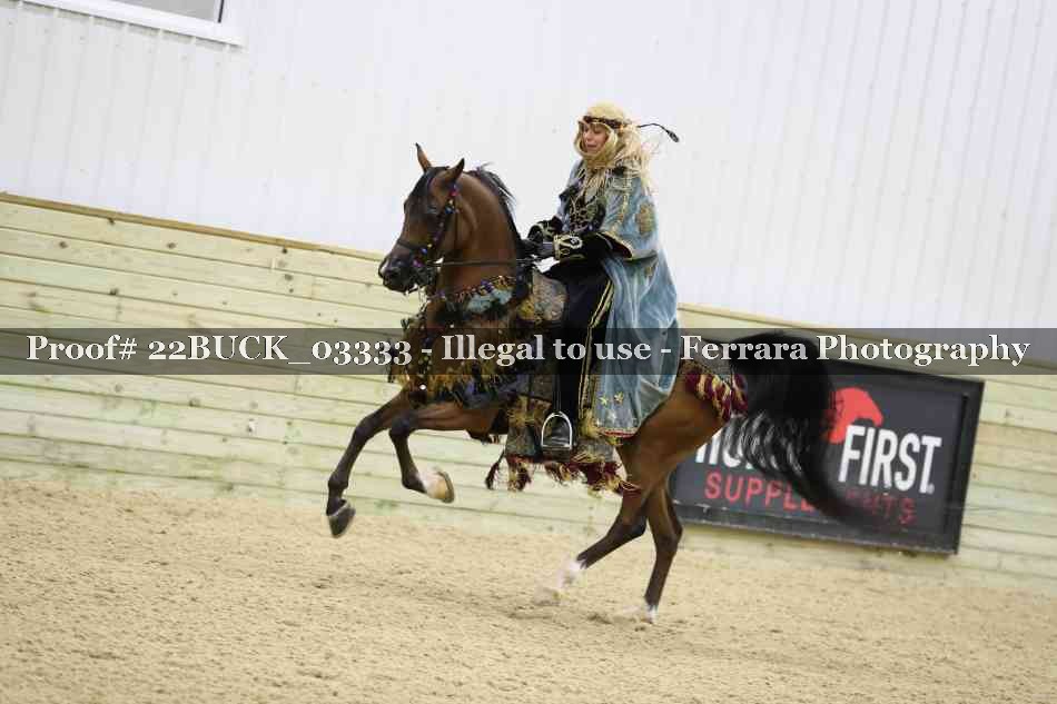 Proof 22BUCK_03333