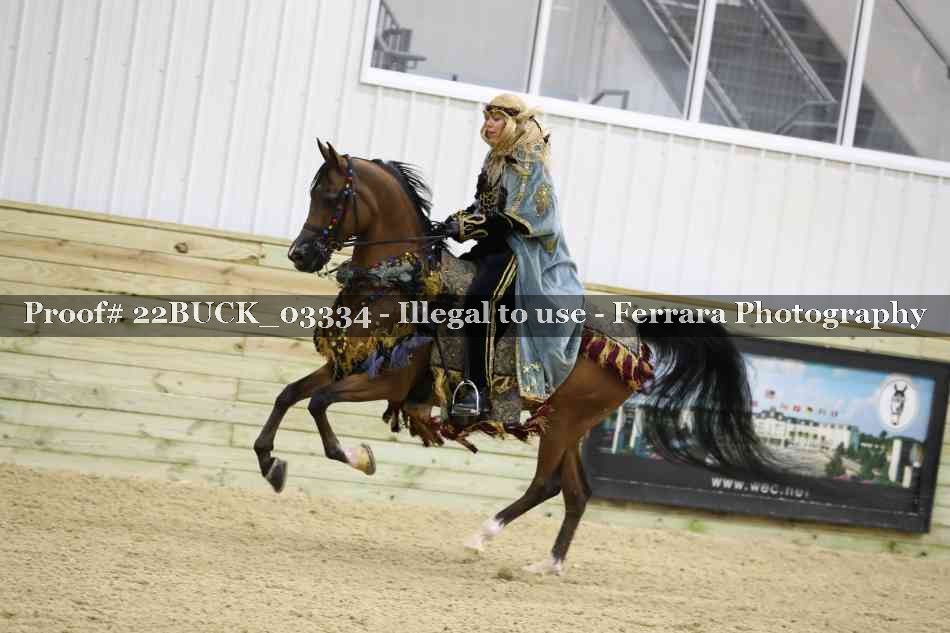 Proof 22BUCK_03334