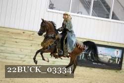 22BUCK_03334 proof