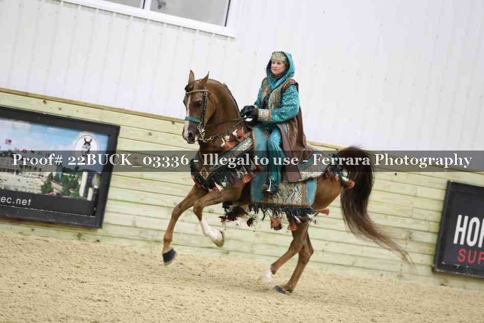 Proof 22BUCK_03336