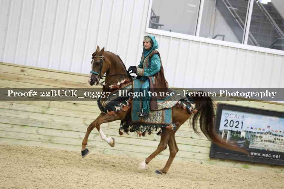 Proof 22BUCK_03337