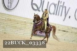 22BUCK_03338 proof